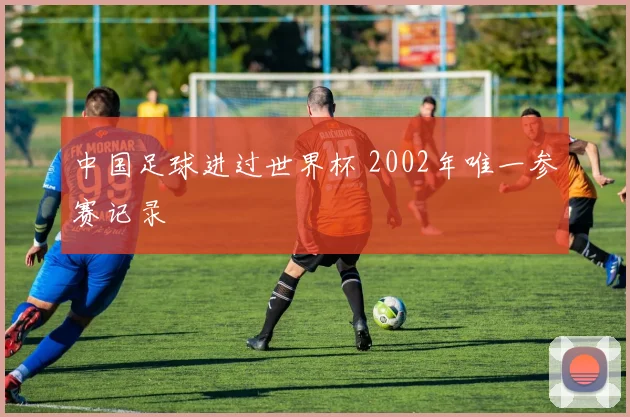 中国足球进过世界杯 2002年唯一参赛记录