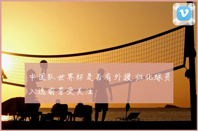 中国队世界杯是否有外援 归化球员入选前景受关注