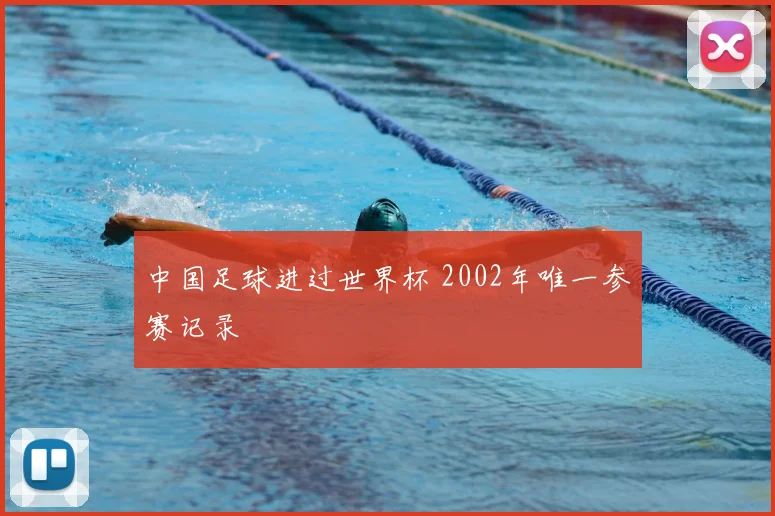 中国足球进过世界杯 2002年唯一参赛记录