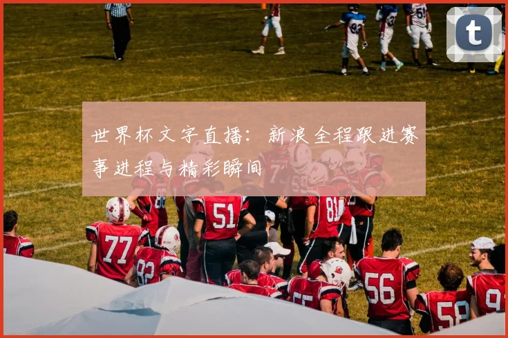 世界杯文字直播:新浪全程跟进赛事进程与精彩瞬间