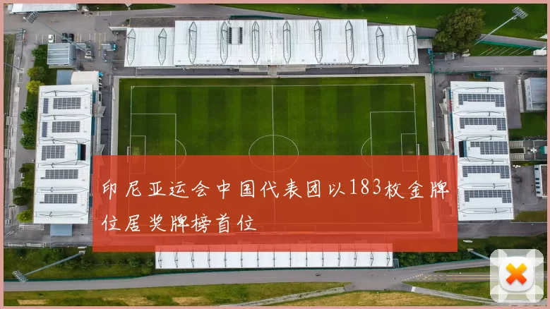 印尼亚运会中国代表团以183枚金牌位居奖牌榜首位