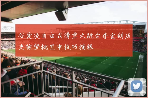 谷爱凌自由式滑雪大跳台夺金创历史徐梦桃空中技巧摘银