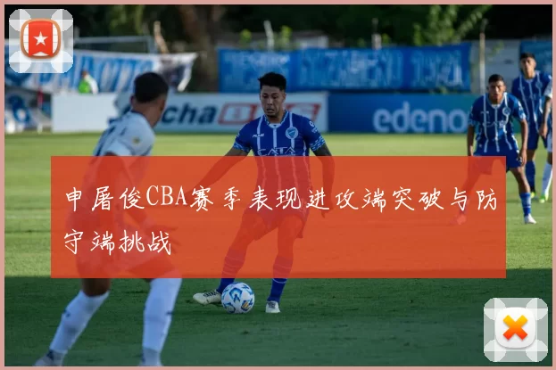 申屠俊CBA赛季表现进攻端突破与防守端挑战